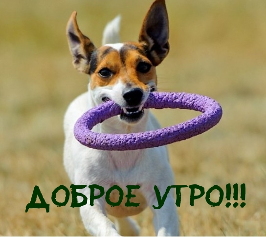 Доброе утро!