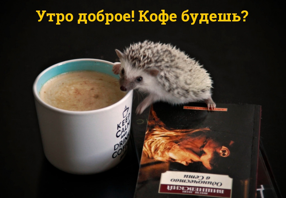 Утро доброе! Кофе будешь?