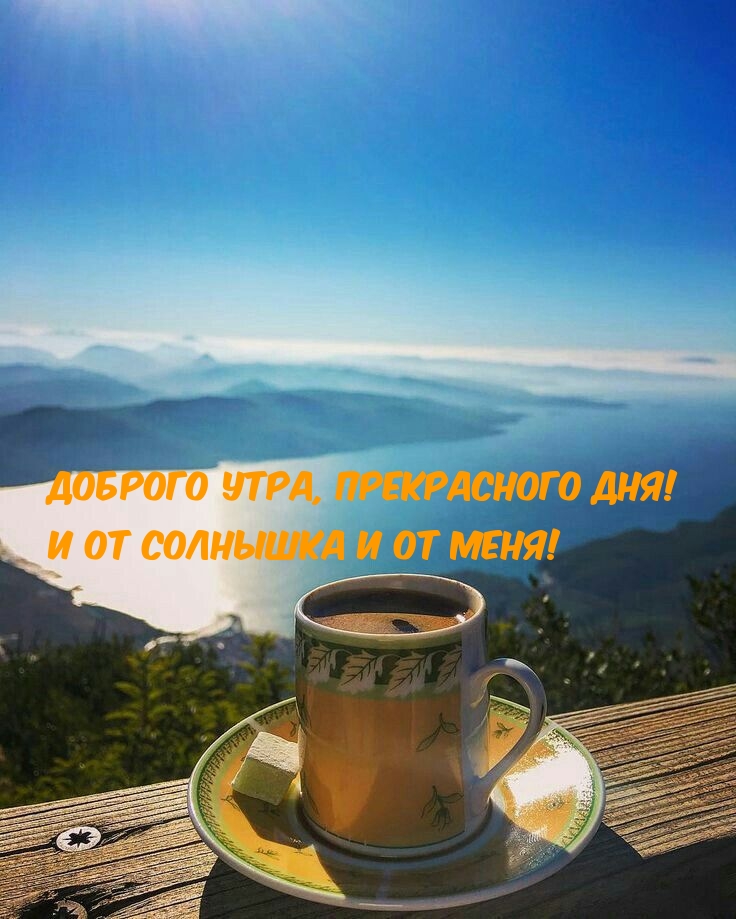 Доброго утра, прекрасного дня! И от солнышка и от меня!
