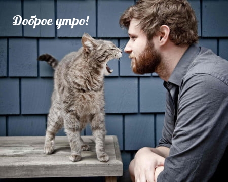 Доброе утро!