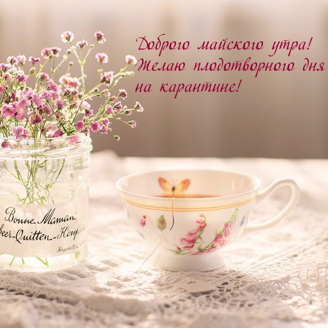Желаю плодотворного дня на карантине!
