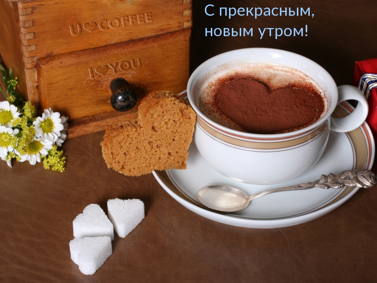 С прекрасным, новым утром!