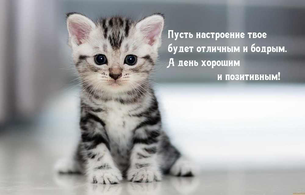 Пусть настроение твое будет отличным и бодрым