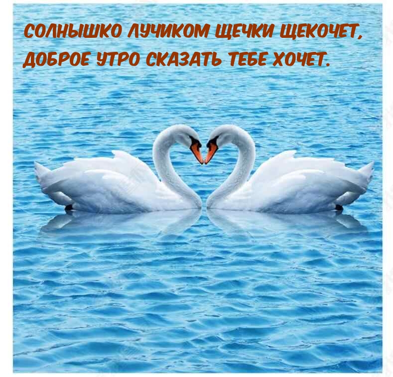 Доброе утро сказать тебе хочется