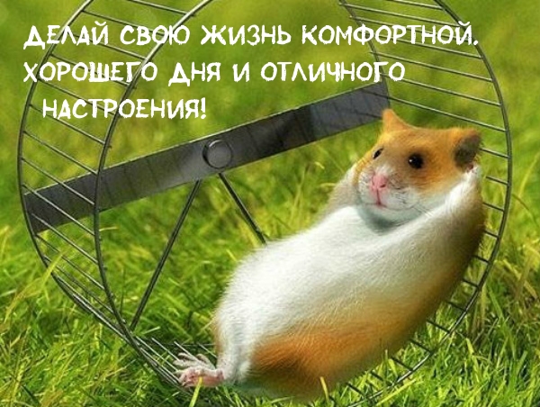 Делай свою жизнь комфортной