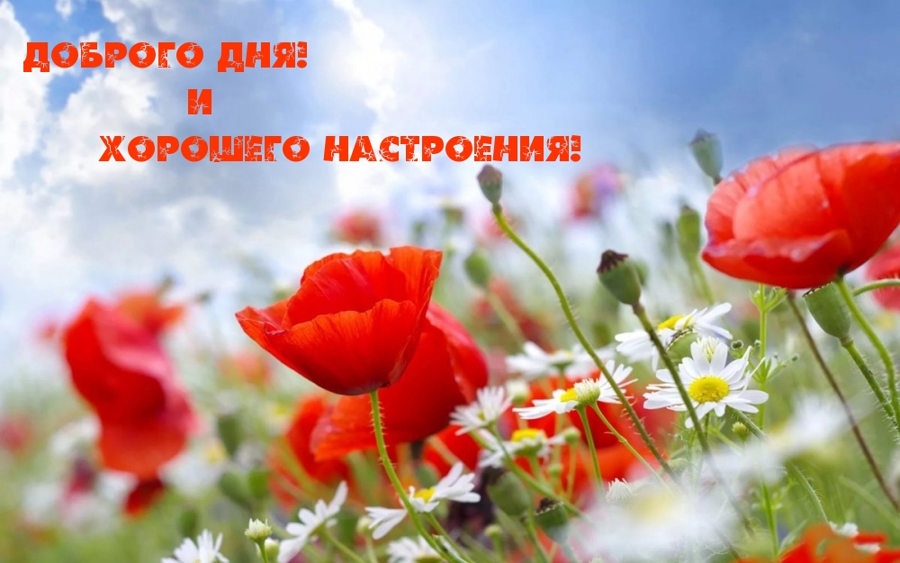 Доброго Дня! и Хорошего Настроения!