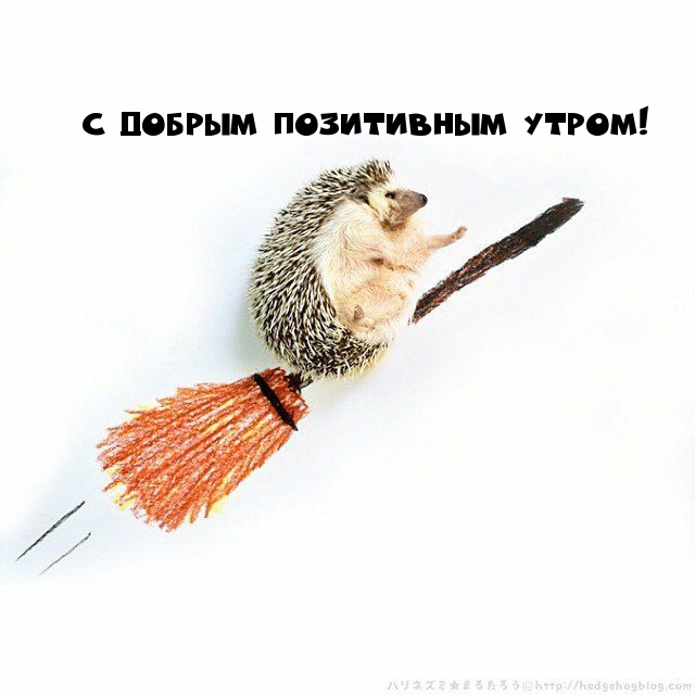 С добрым позитивным утром!