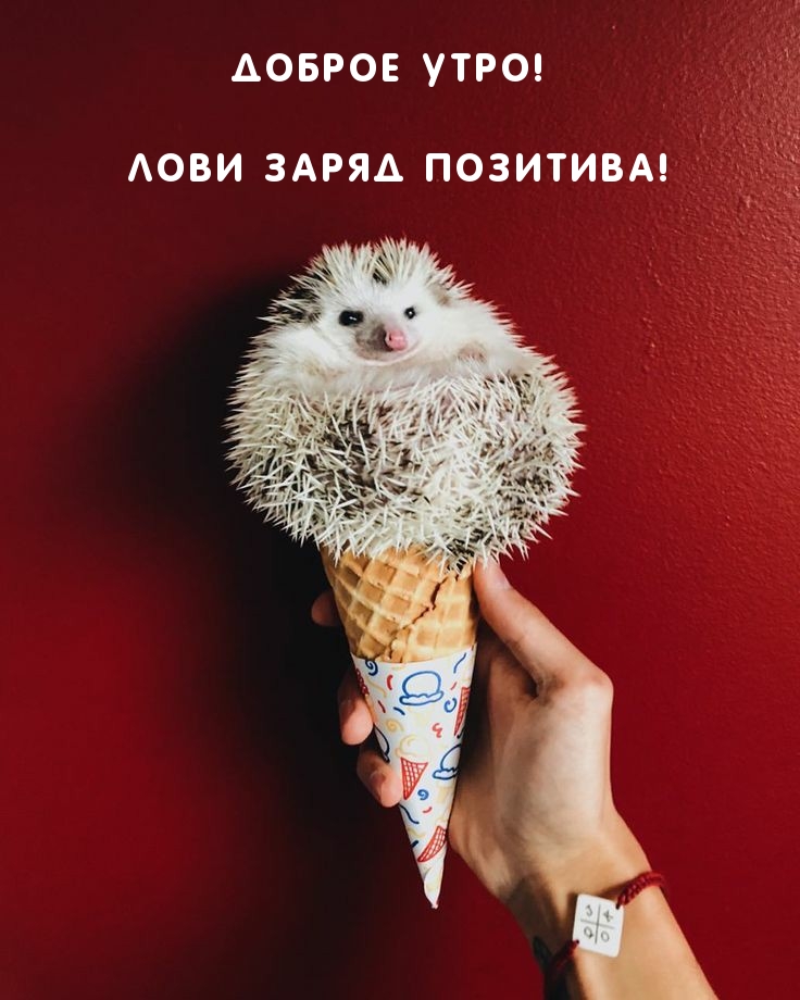 Доброе утро! Лови заряд позитива!