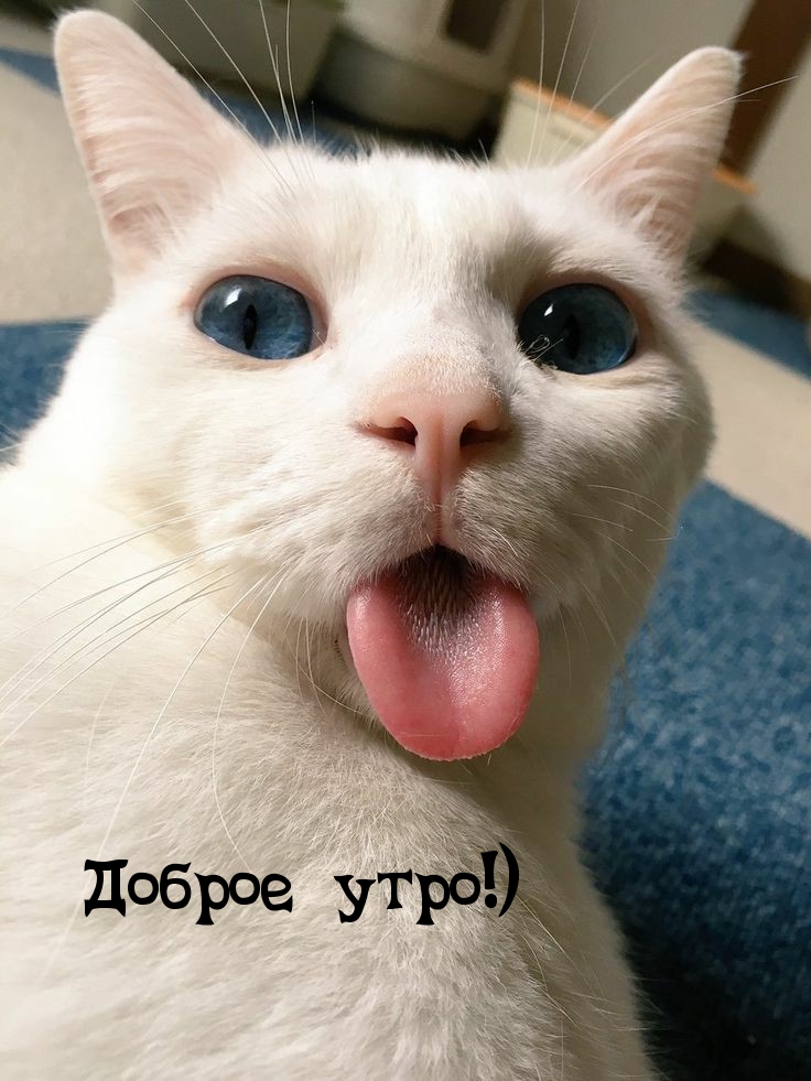 Доброе утро!)