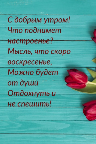 С добрым утром! Что поднимет настроенье?
