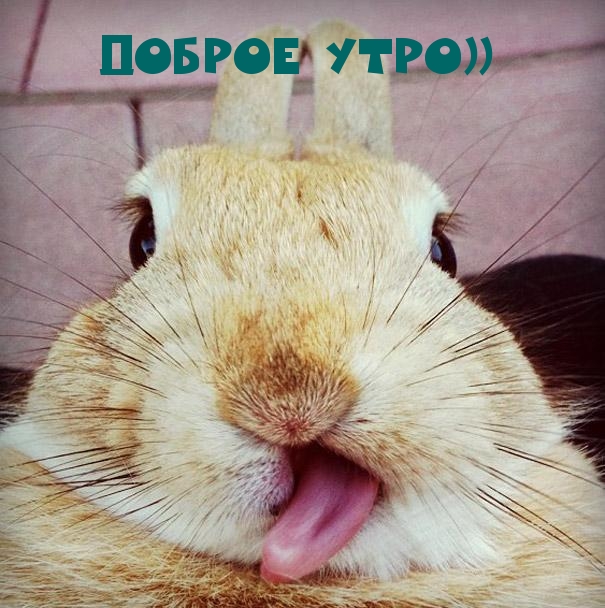 Доброе утро))