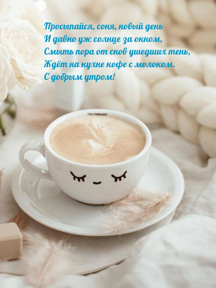 Просыпайся, соня, новый день за окном