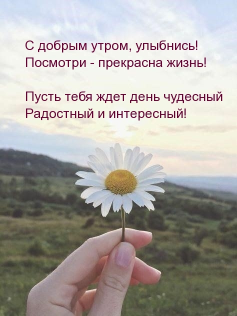 С добрым утром, улыбнись! Посмотри — прекрасна жизнь!