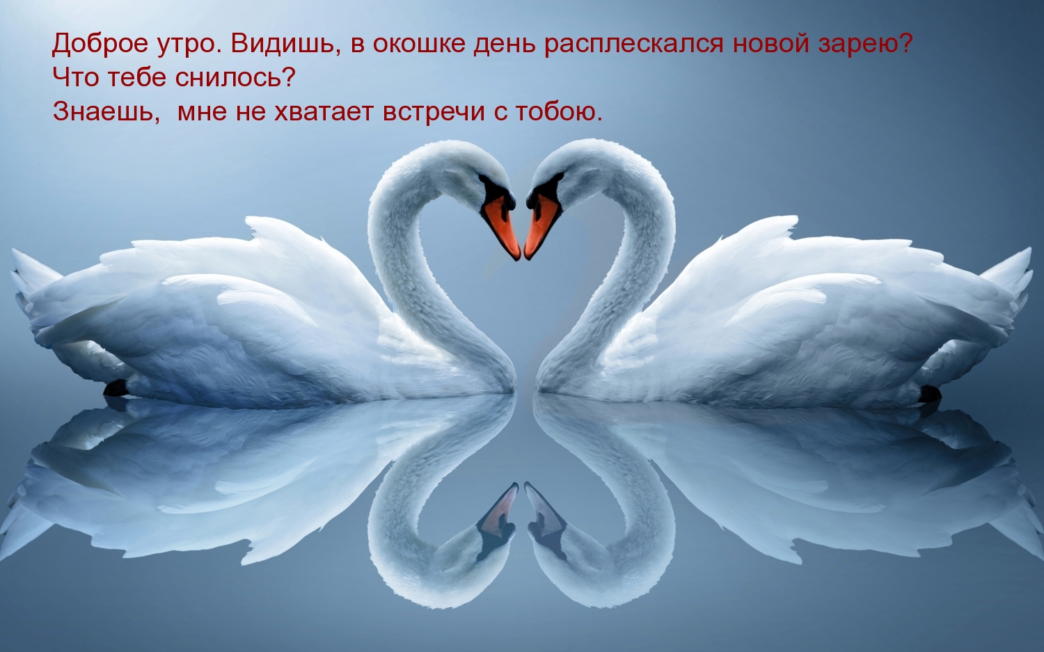 Что тебе снилось? Мне не хватает встречи с тобою