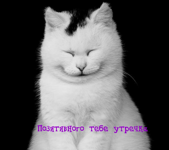 Позитивного тебе утречка