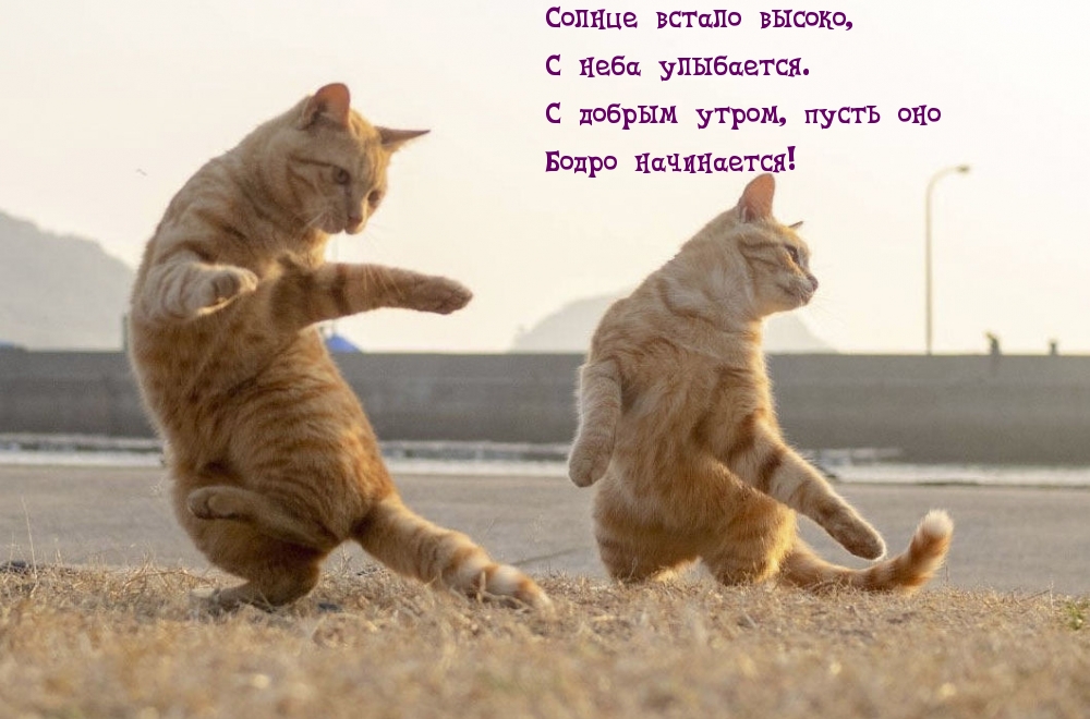 С добрым утром, пусть оно бодро начинается!