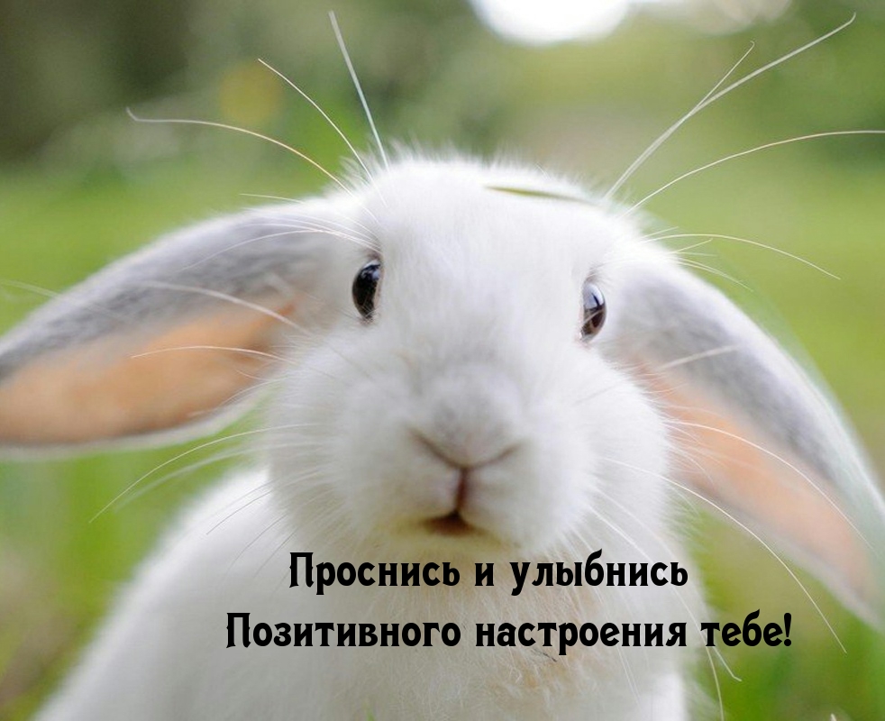 Проснись и улыбнись! Позитивного настроения тебе!