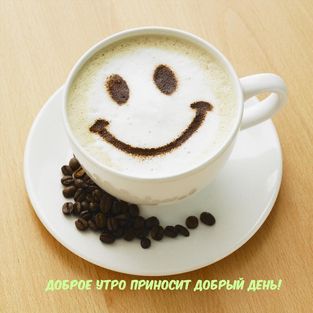 Доброе Утро приносит Добрый День!