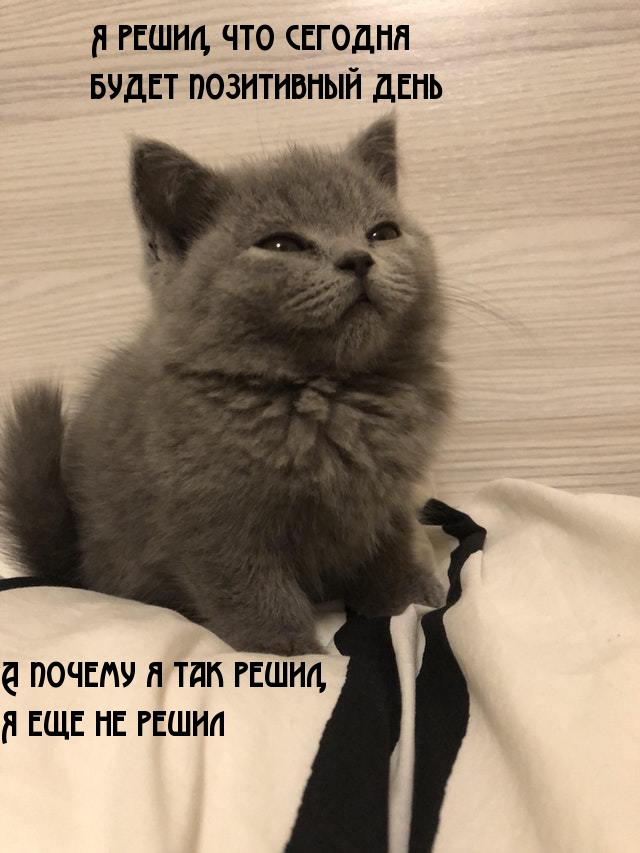 Я решил, что сегодня будет позитивный день