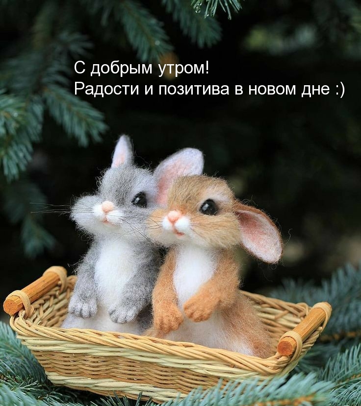 С добрым утром! Радости и позитива в новом дне :)