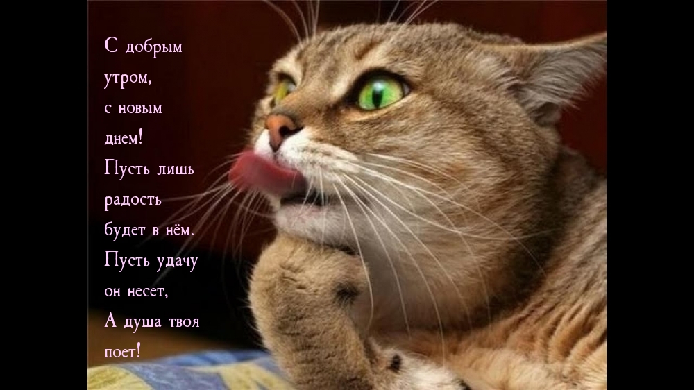 С добрым утром, с новым днем!