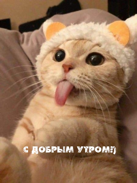 С добрым утром!)