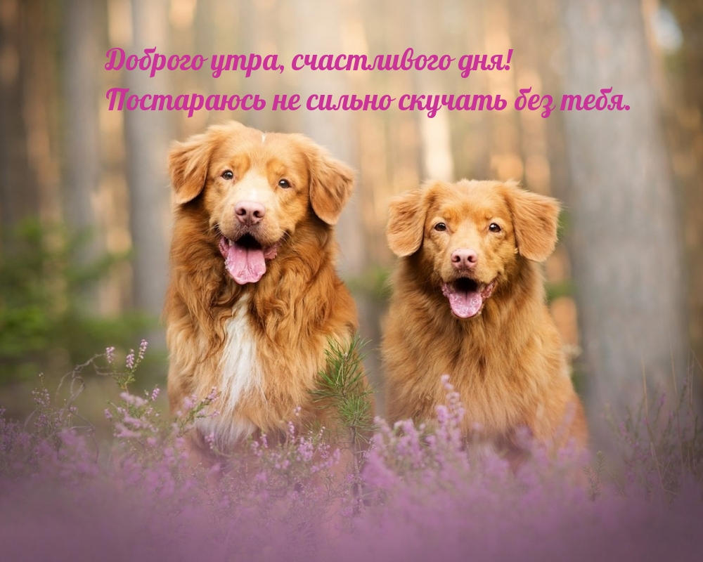 Постараюсь не сильно скучать без тебя