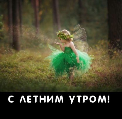 С летним утром!