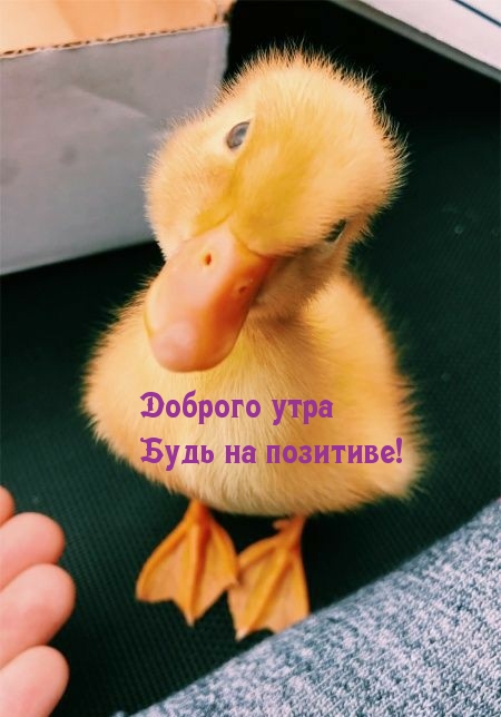 Доброго утра Будь на позитиве!