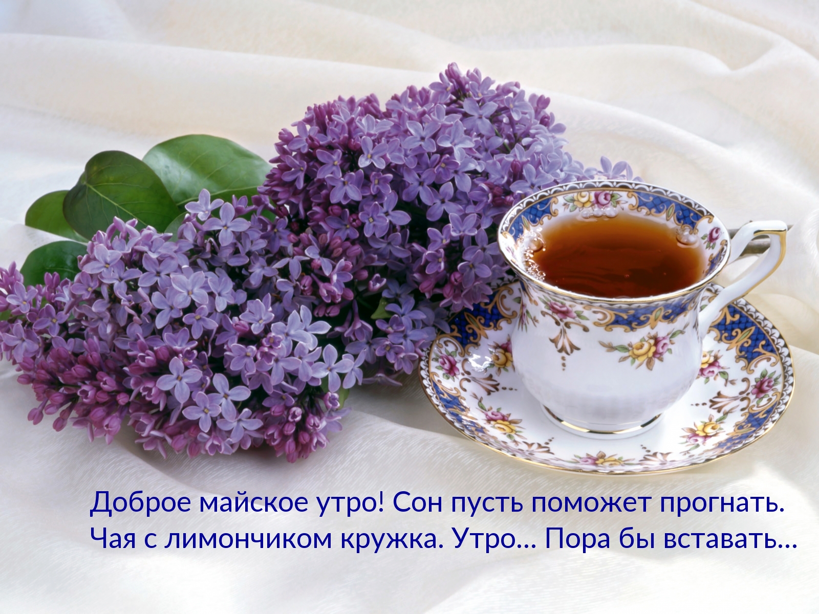 Доброе майское утро! Сон пусть поможет прогнать …