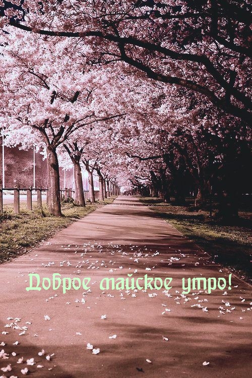 Доброе майское утро!