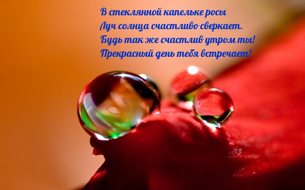 Прекрасный день тебя встречает!