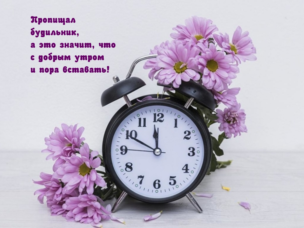 Пропищал будильник, пора вставать!