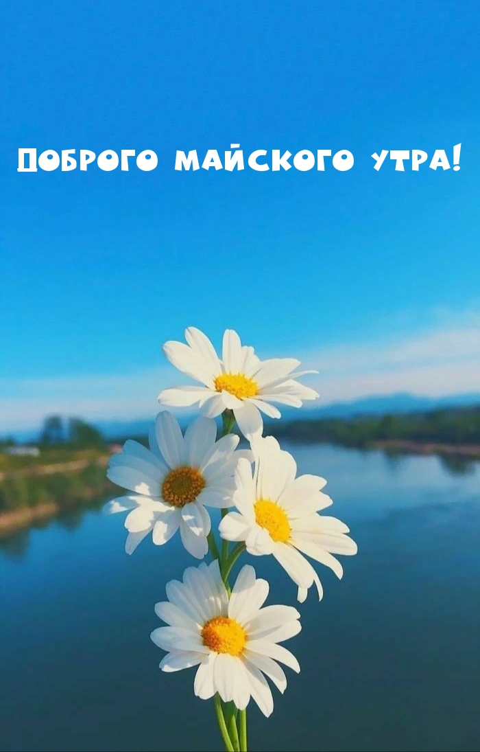 Доброго майского утра!