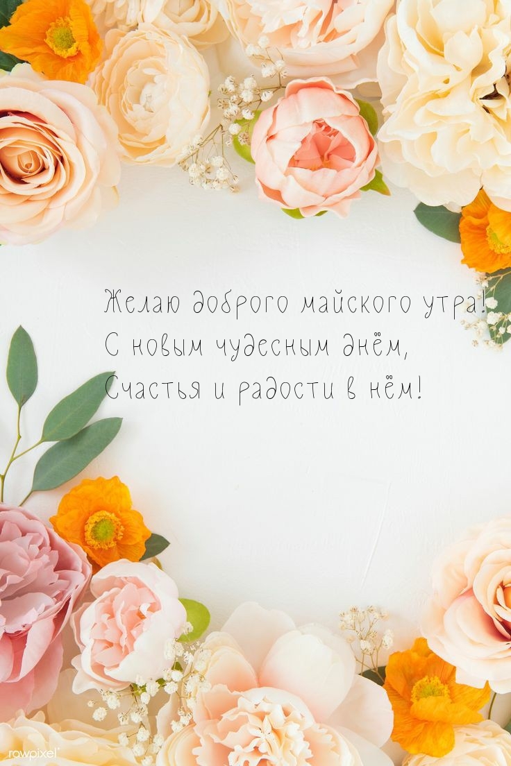 Желаю доброго майского утра! С новым чудесным днём!