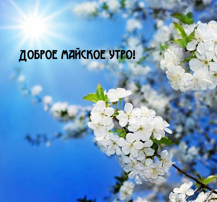 Доброе майское утро!