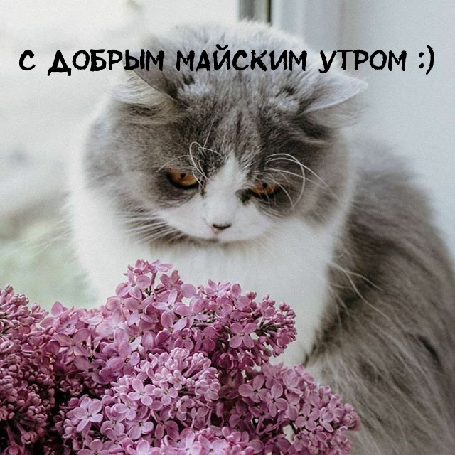 С добрым майским утром :)