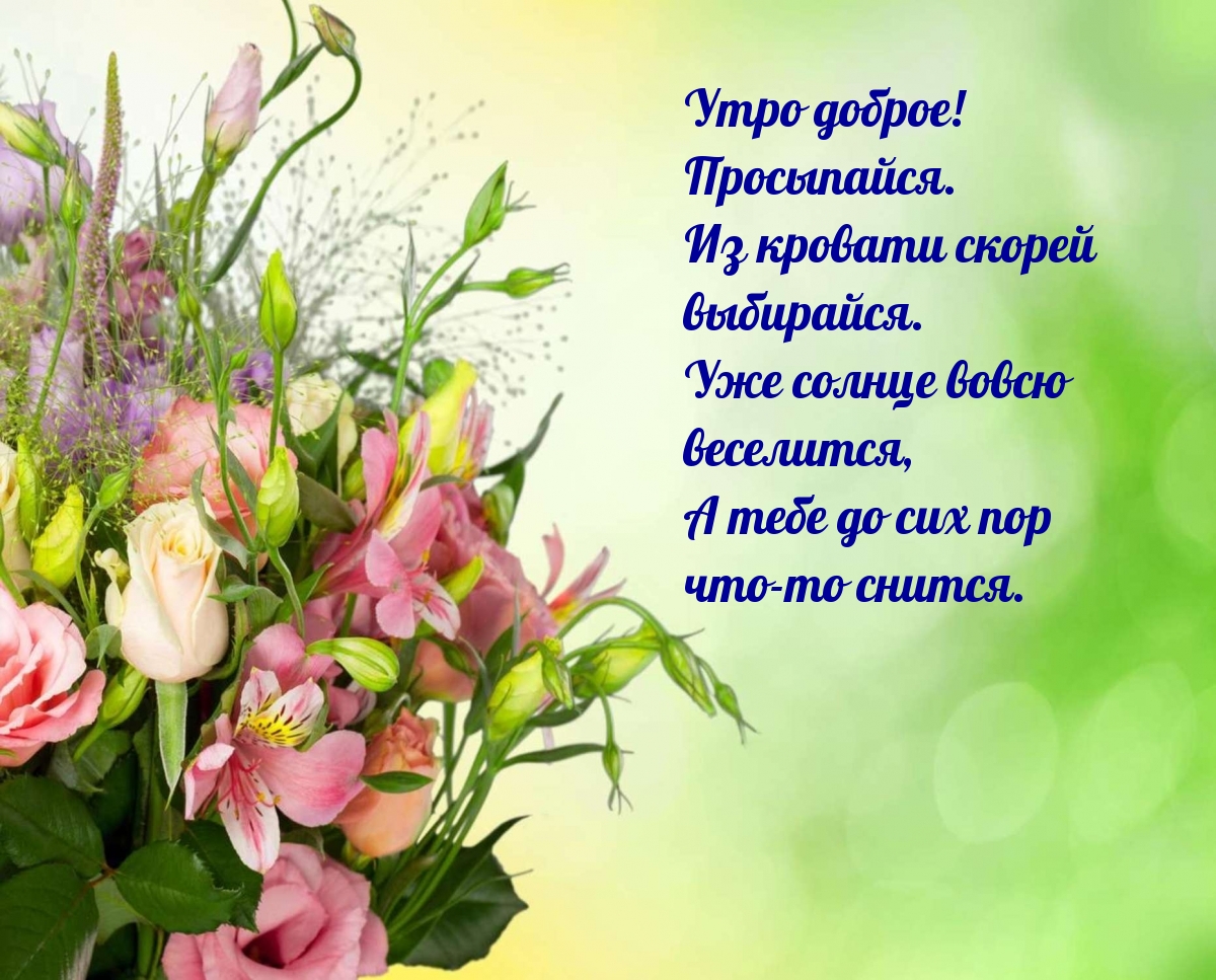 Утро доброе! Просыпайся)