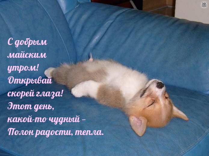 С добрым майским утром! Открывай скорей глаза!