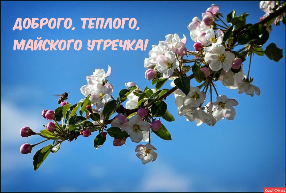 Доброго, теплого, майского утречка!