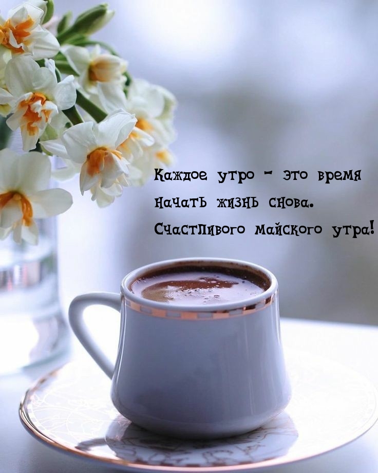 Счастливого майского утра!