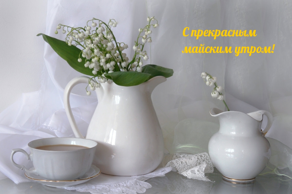 С прекрасным майским утром!