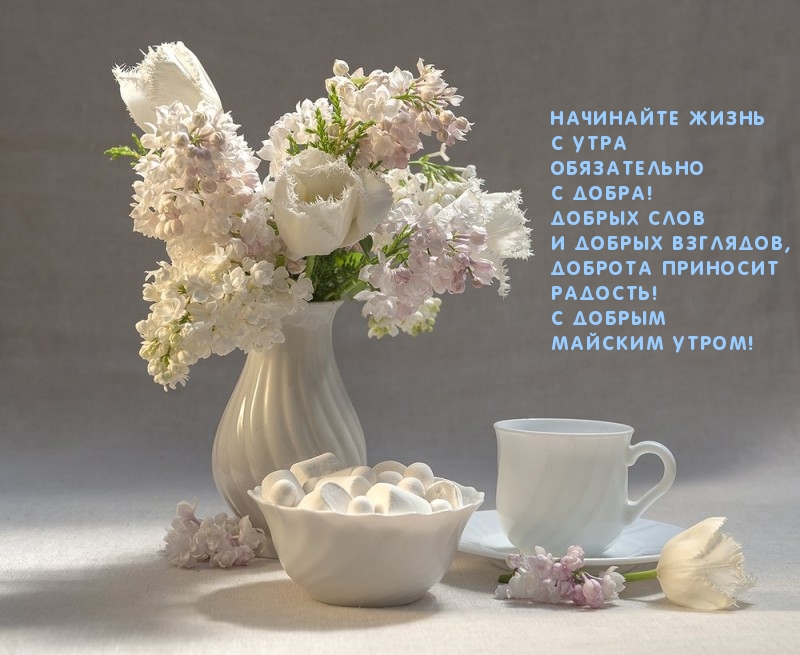 С добрым майским утром! Добра!