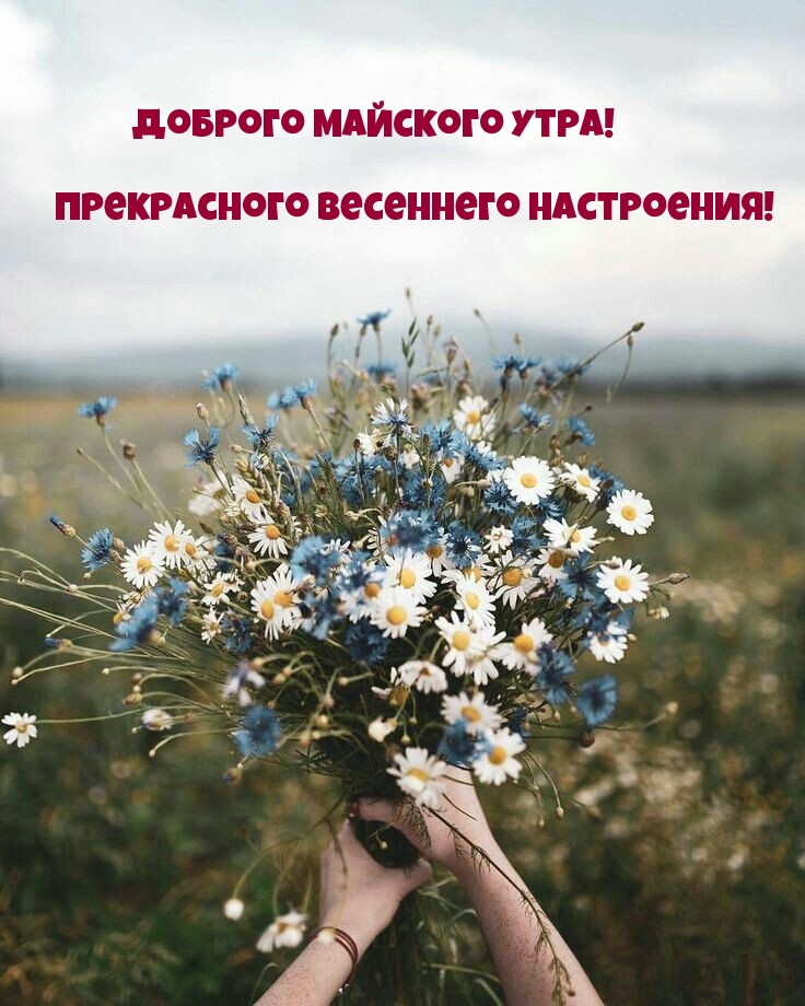 Доброго майского утра! Весеннего настроения!