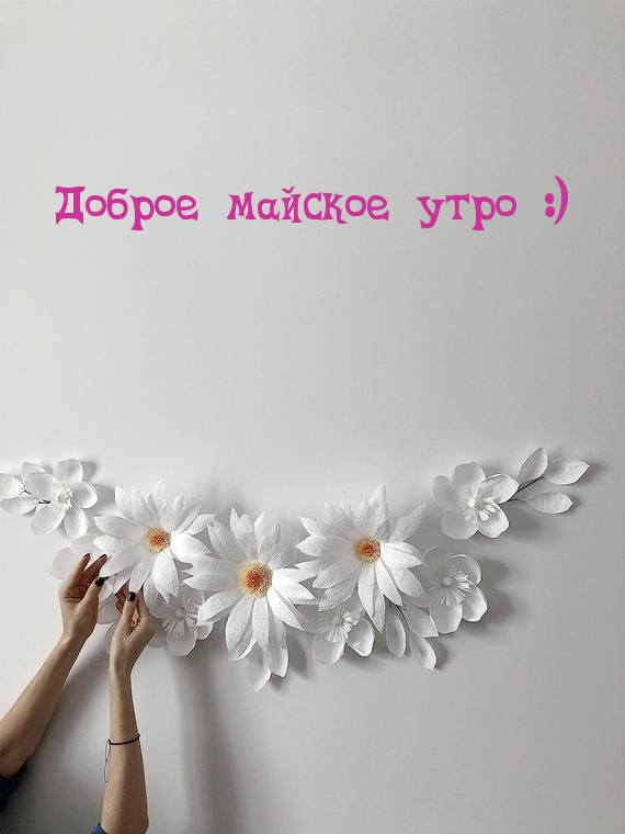 Доброе майское утро :)