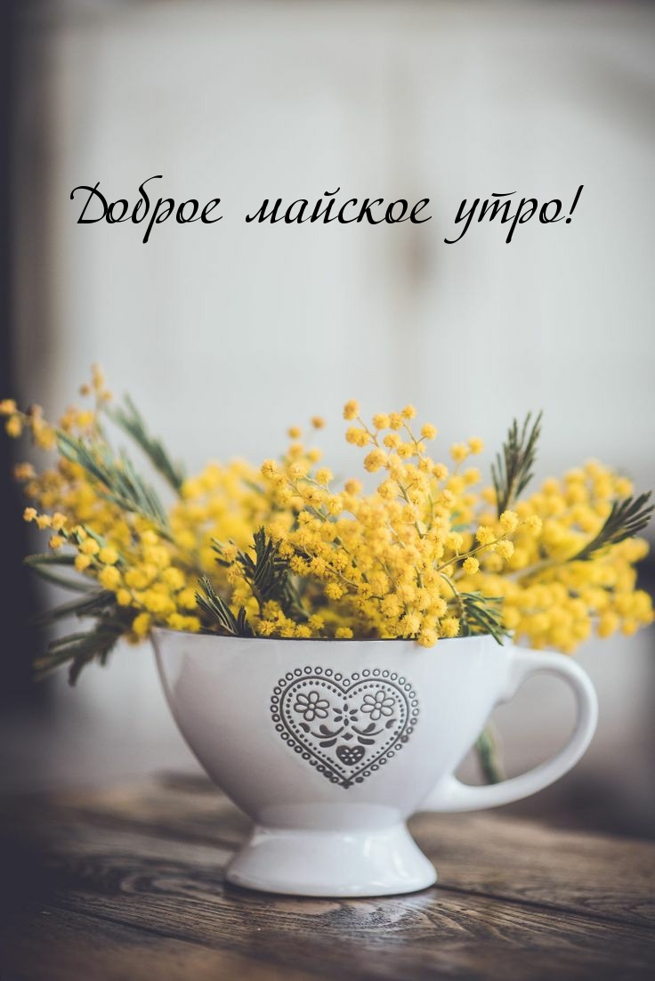 Доброе майское утро!