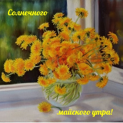 Солнечного майского утра!