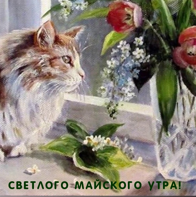 Светлого майского утра!