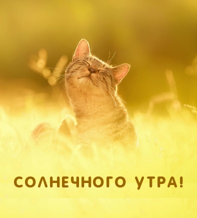 Солнечного утра!