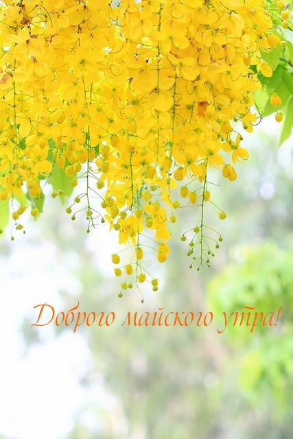 Доброго майского утра!